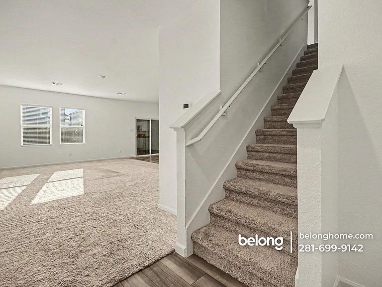 10007 Yellow Bell Dr — Photo 2
