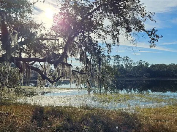 1 E Highway 318 #E, Citra, FL 32113