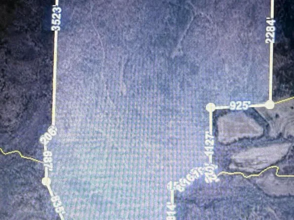 4260 Highfield Rd, Cedar Grove, TN 38321