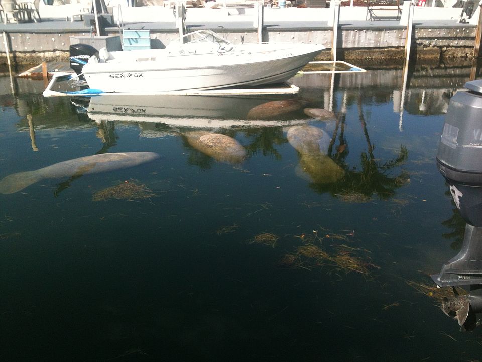 1st image of 11300 1st Ave Gulf