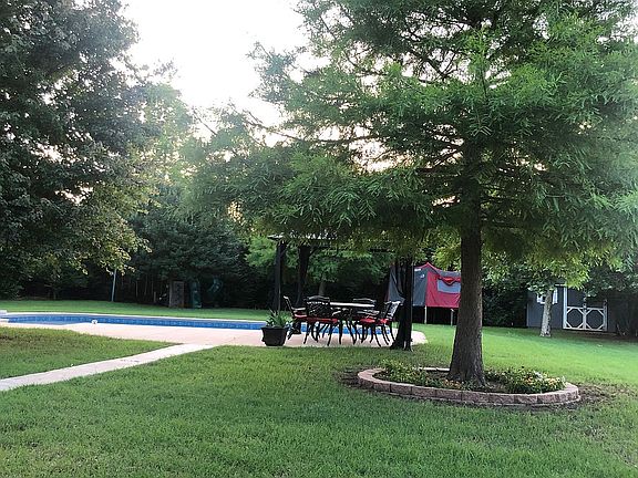 Summer backyard view