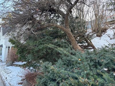 Lot 8 Bay View Street, Camden, ME, 04843