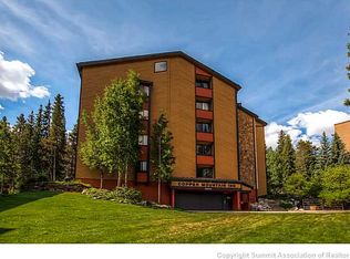 158 Ten Mile Cir BUILDING -344, Frisco, CO 80443