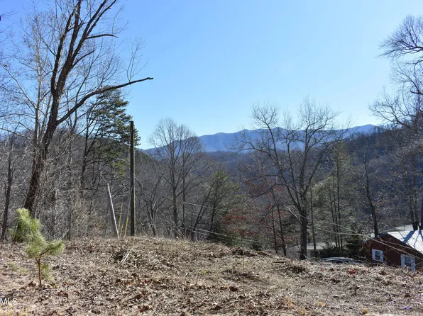 (undisclosed Address), Gatlinburg, TN 37738