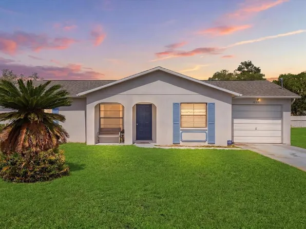1393 Hathaway Ave, Spring Hill, FL 34608