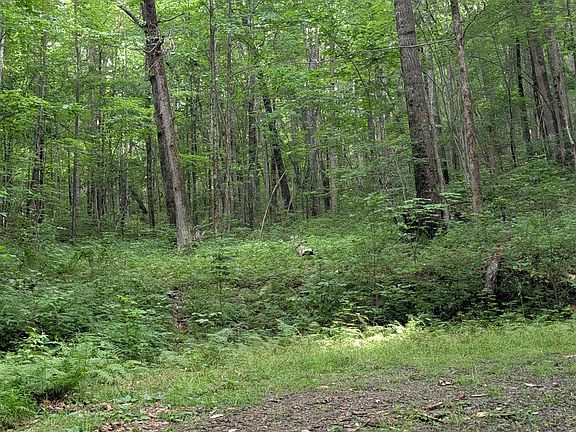 5th image of 87 Rainbow Ridge Rd
