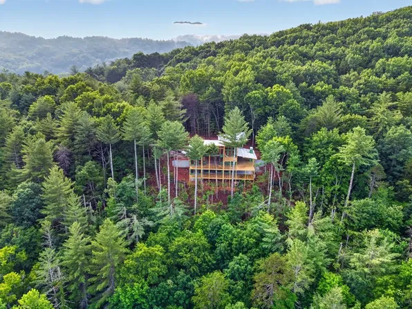 LOT 3C Stanley Creek Rd, Cherry Log, GA 30522