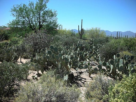 2nd image of 1792 E Sahuaro Blossom Pl