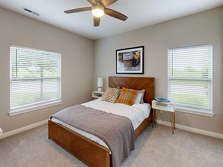 Bedroom with Natural Light