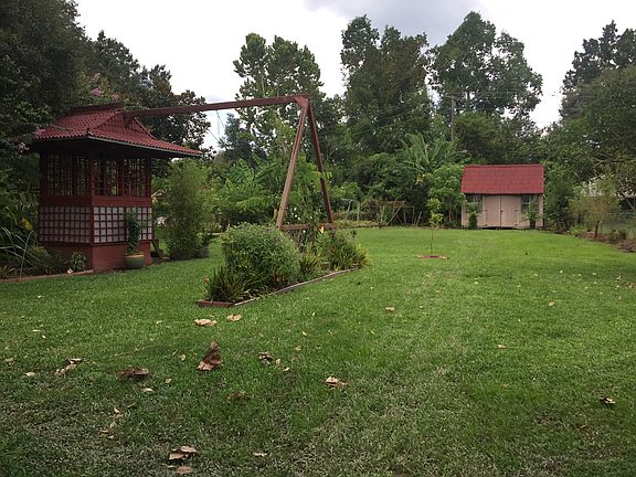 View of backyard