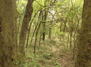 NE Cassia Dr, Lee, FL 32059