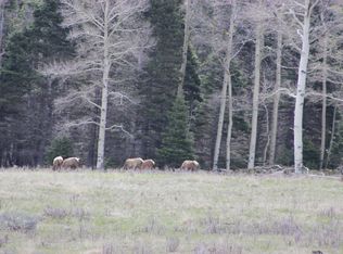 Forbes Wagon Creek Lot 473 And 474, Ft Garland, CO 81133