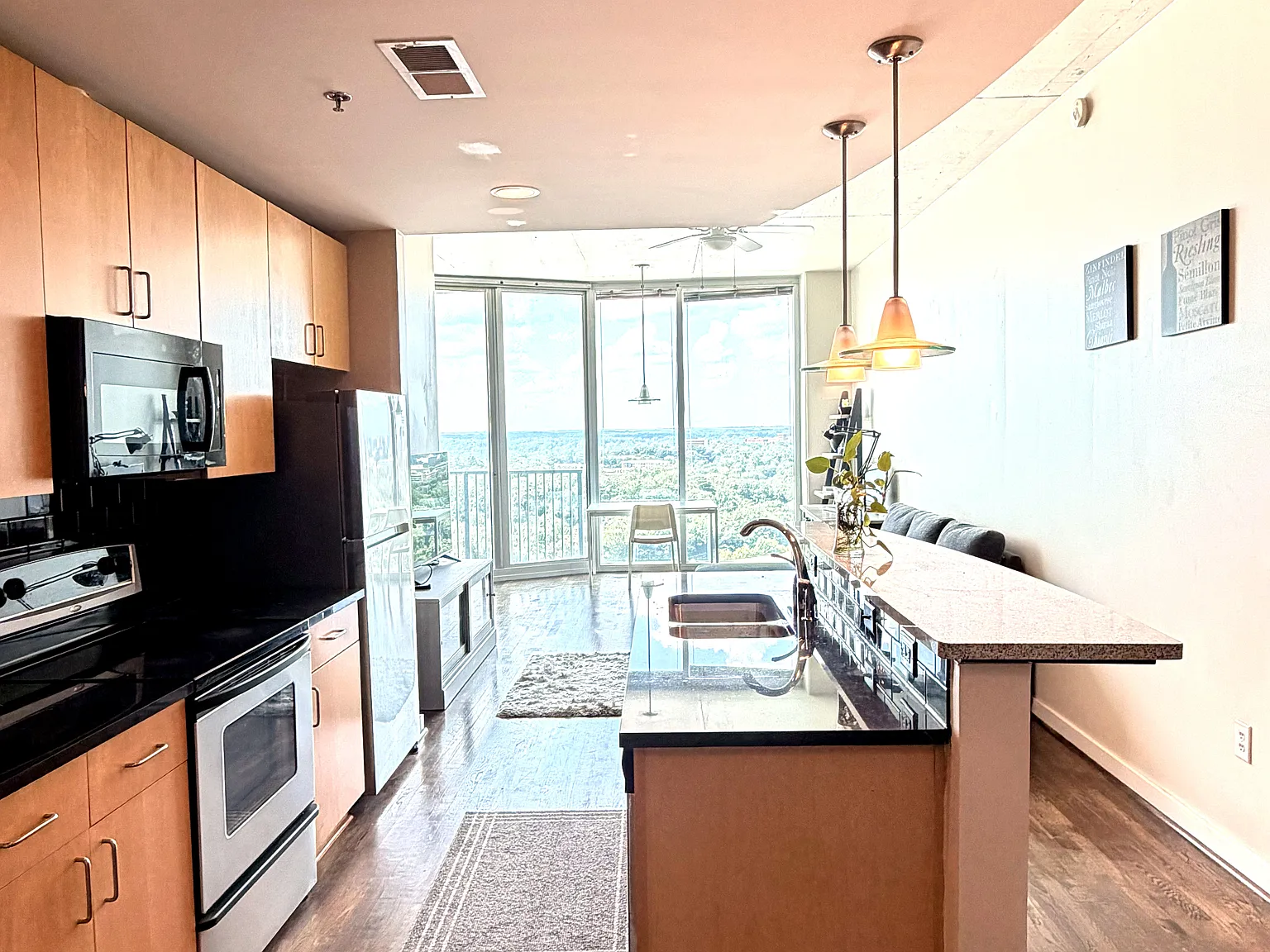 1 bed, 816 sqft, $2,050 — Photo 2
