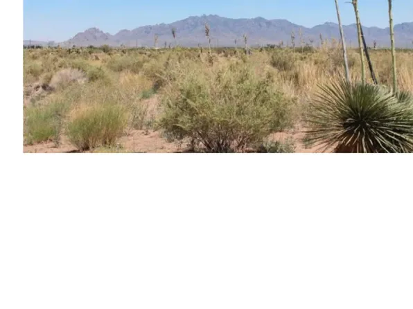 0 Paintbrush Rd SW, Deming, NM 88030