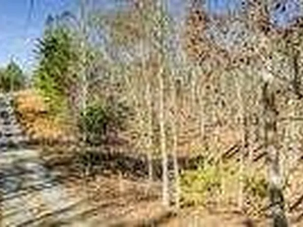 0 Old Federal Rd #45AC, Talking Rock, GA 30175