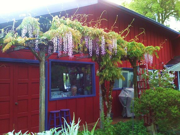 view outside shop/garden/craft building