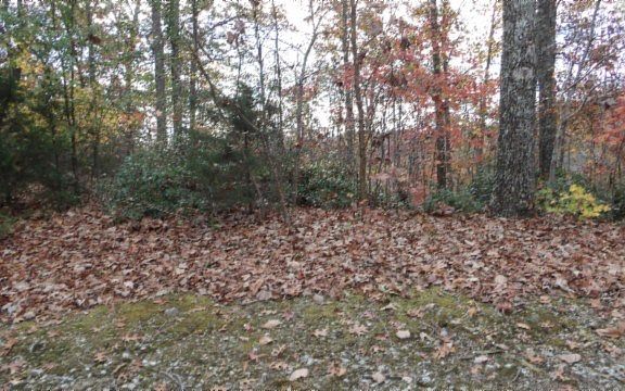 2nd image of LOT 349 Drew Ct