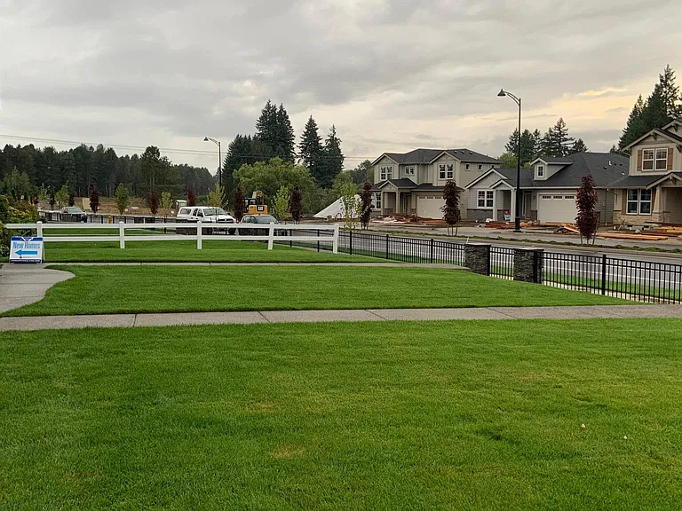 Neighborhood