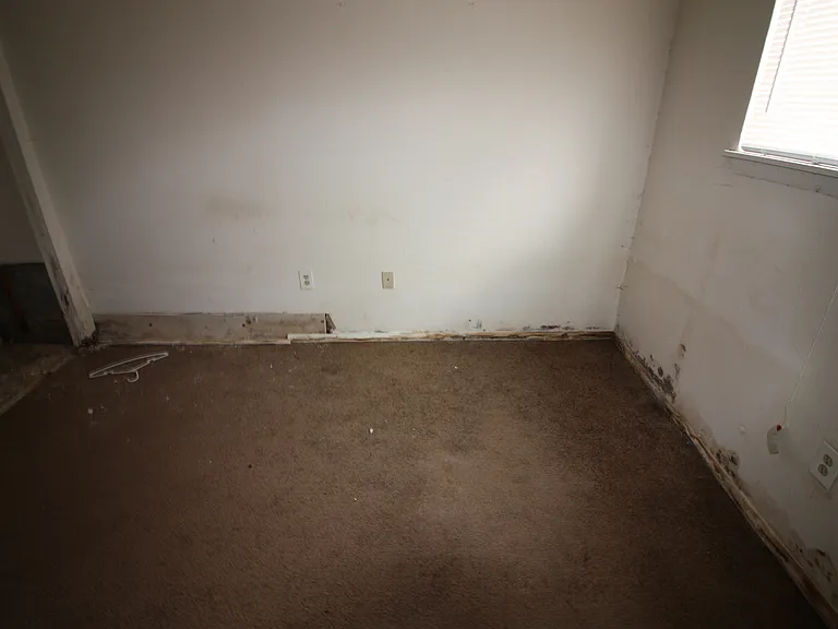 817 Gilrubin Ct — Photo 10