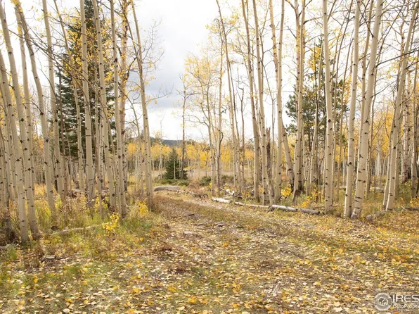 411 Tesuque Trl, Red Feather Lakes, CO 80545