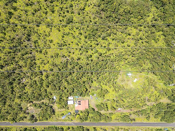 2nd image of Hibiscus St Lot 7562