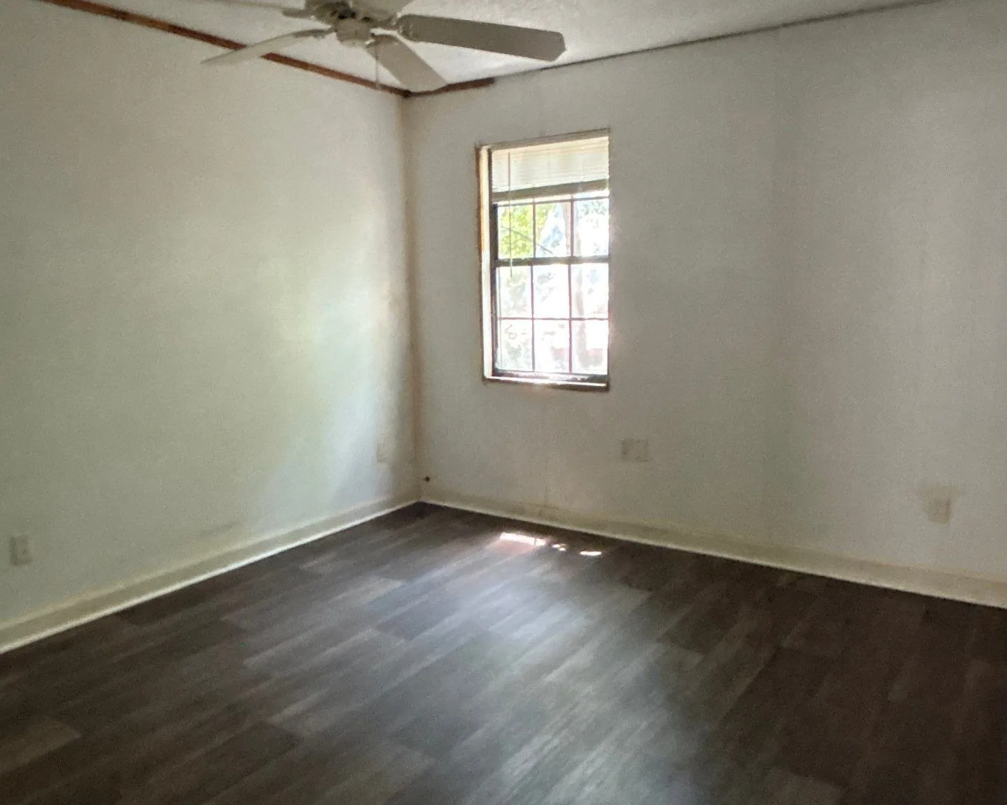 9 North Main Street - Stanton TN - B — Photo 3