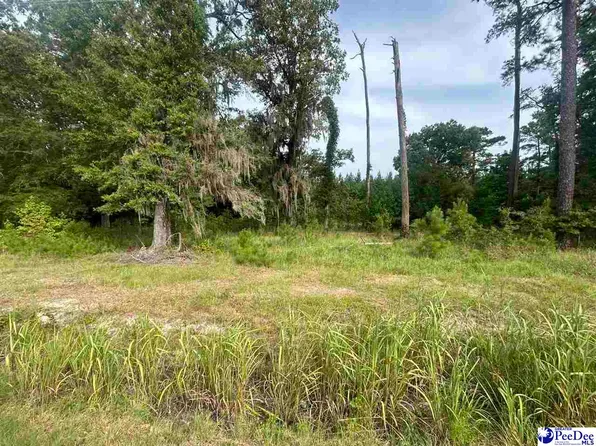 Old 4 Hwy, Coward, SC 29530