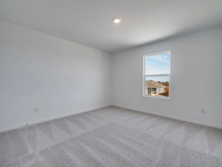 3145 Burmese St — Photo 15