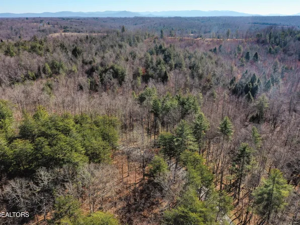 Twin Bridge Rd, Deer Lodge, TN 37726