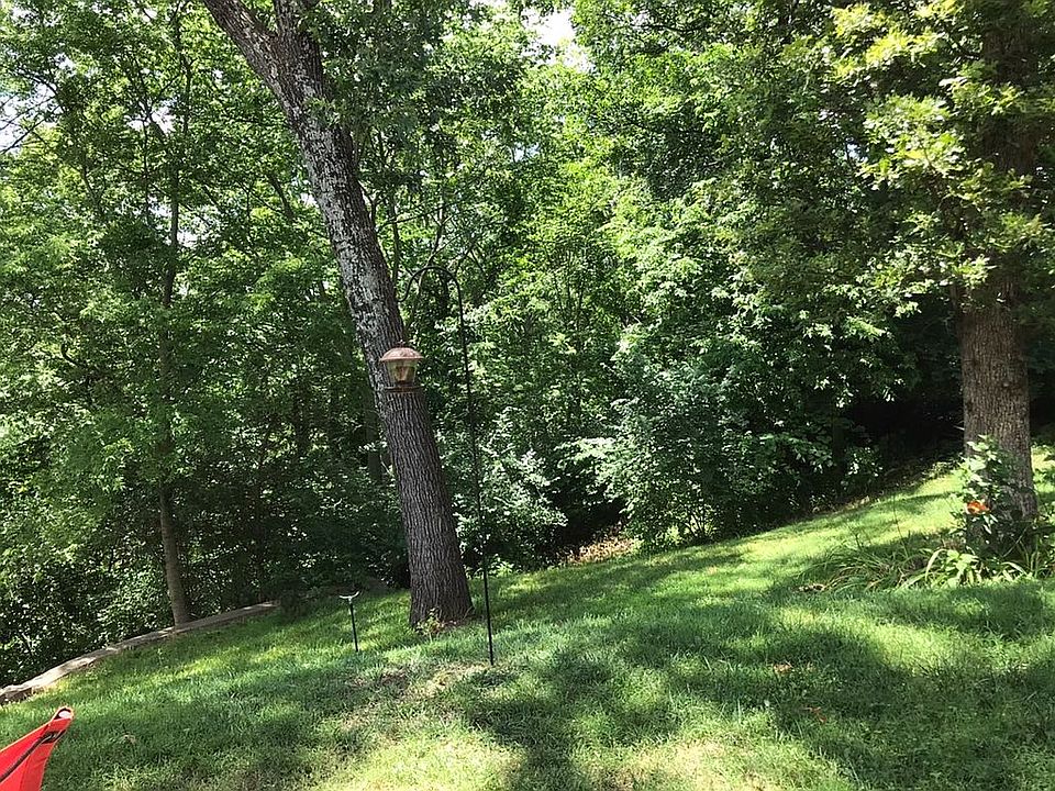 Backyard view 