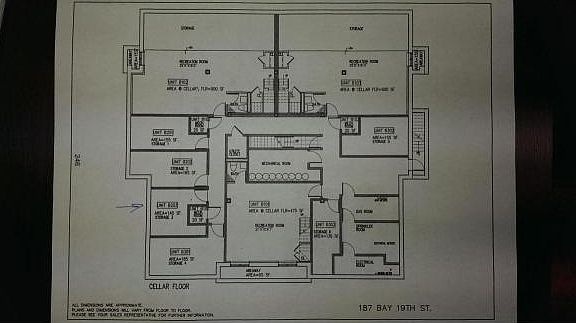 4th image of 187 Bay 19 St #B203