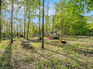 10222 W Munro Lake Dr, Levering, MI 49755