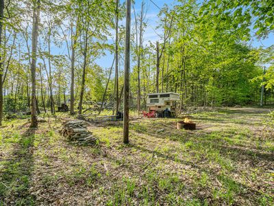 10222 W Munro Lake Dr, Levering, MI, 49755
