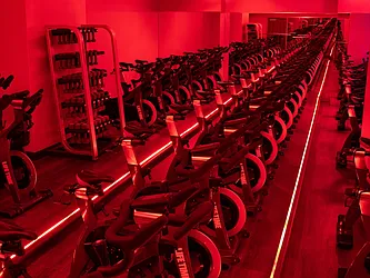 Rented by The Moinian Group