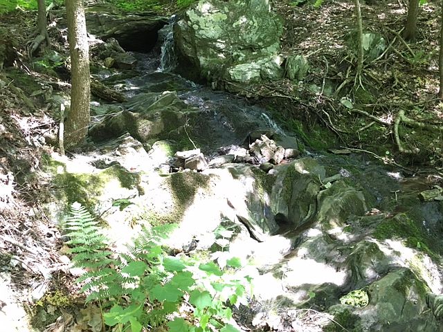 2nd image of Robinson Rd