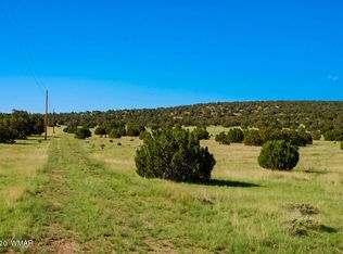 50 Old Ranch Rd, Quemado, NM 87829