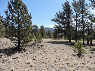 237 Rocky Mountain Ct, Hartsel, CO 80449