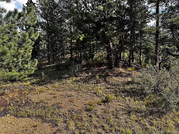 2nd image of Lot 1 Eagle Mining Claim