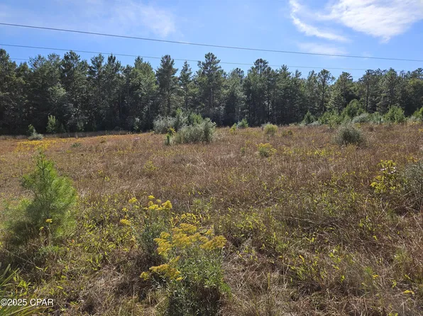 0 Delaware Rd, Defuniak Springs, FL 32433