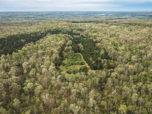 TRACT 3 Cleavesville Rd, Bland, MO 65014