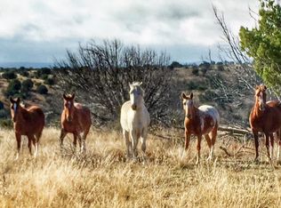 Alamo Canyon Road, Hondo, NM 88336