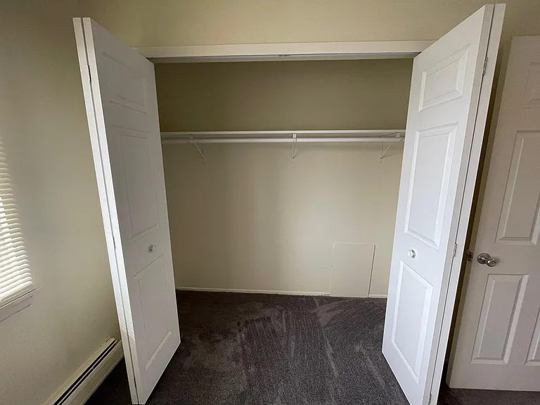 Huge full-wall closet in master bedroom