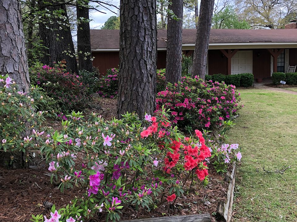 1st image of 213 Eastwood Dr