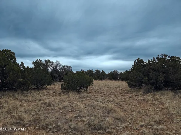 5234 Main St, Heber, AZ 85928
