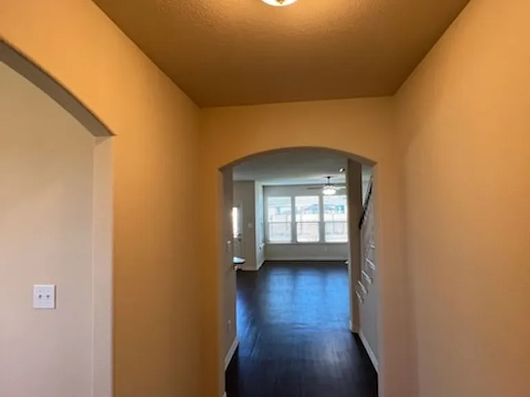 3729 Caladium Ln — Photo 6