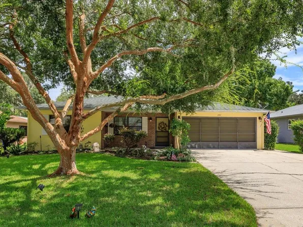 331 Douglas Dr, Eustis, FL 32726