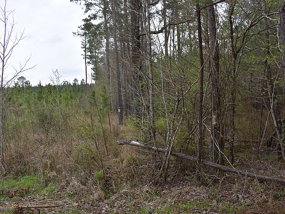 5th image of Union County 3-lot Wp001