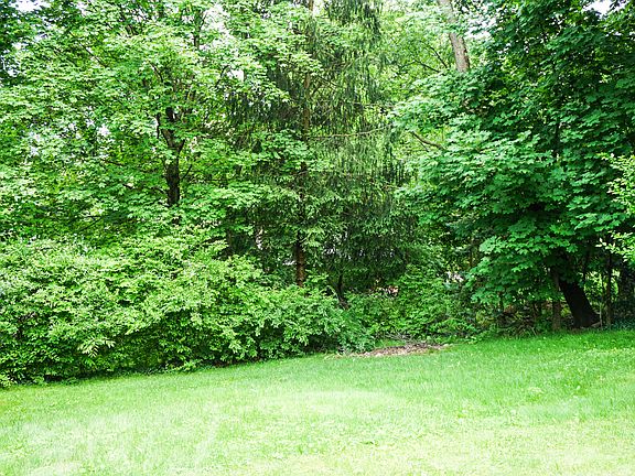 5th image of 501 Morton Ave