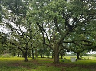 10889 York Ln, Elberta, AL 36530