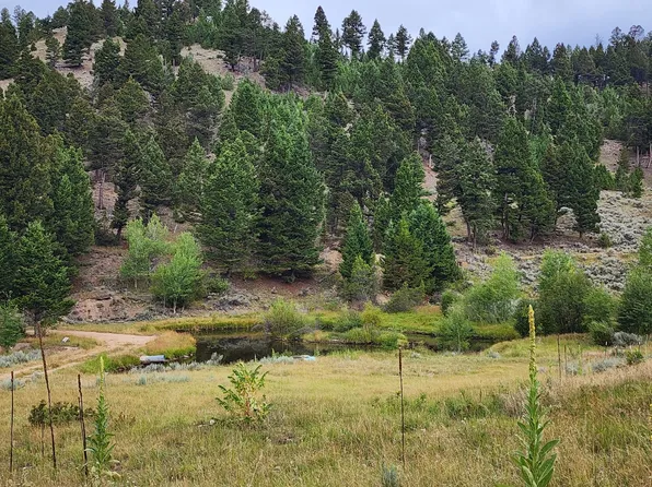 Tbd Big Limber Gulch, Basin, MT 59631